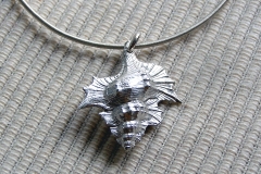 Colgante Caracola Plata